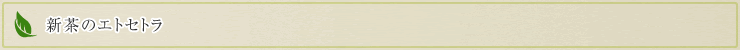 新茶のエトセトラ